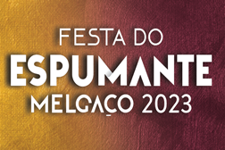 Melgaço volta a reunir espumantes da sub-região de Monção e Melgaço - Festa decorre entre 24 e 26 de Novembro