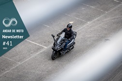 Newsletter nº 41/2025 - 14 de Outubro de 2025