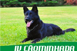 IV Cãominhada de Vila de Rei