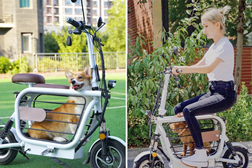 Mopet: a e-scooter que passeia o dono e o animal