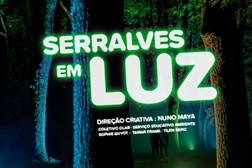 Grande exposição "Serralves em Luz" regressa ao Parque de Serralves