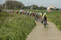 Clássica de Viana marca o fim de semana de ciclismo - Regresso da Taça de Portugal de Estrada