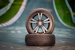 A Falken adaptará os seus preços a partir de janeiro  - E vai continuar a ampliar os seus serviços
