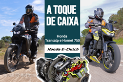 Texto: Henrique Saraiva