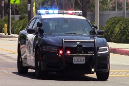 Polícia pode ter usado o recurso Autopilot da Tesla para parar o carro - Alegadamente o condutor estaria a dormir