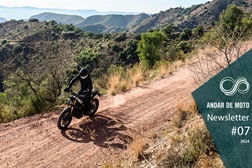 Newsletter nº 07/2024 - 14 de Fevereiro de 2024