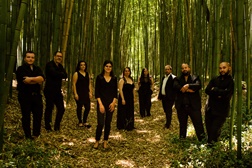 Mu[n]da | Fado Collective apresenta o seu primeiro concerto em Coimbra