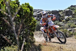 Ruben Faria