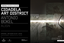 Cidadela Art District inaugura exposição de António Bokel