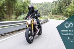 Newsletter nº 30/2024 - 31 de Julho de 2024