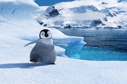 Cinema Panda nos fins de semana de setembro