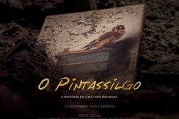 O Pintassilgo