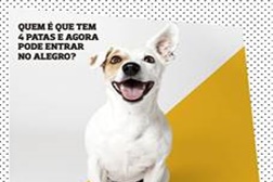 Alegro Alfragide torna-se Dog Friendly e comemora com Mercadinho Animal