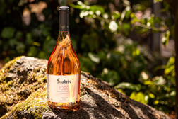 Um blend inusitado para este verão: Soalheiro Mineral Rosé - Nova colheira de 2022 combina Alvarinho com Pinot Noir