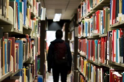 Estudo: Há cada vez mais homens a trabalhar nas bibliotecas portuguesas