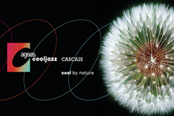Ageas Cooljazz tem nova imagem - A edição de 2025 acontece de 1 a 31 de Julho