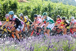 Agenda de Ciclismo (29 de junho a 2 de julho de 2017)