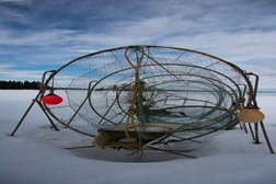 Exposição «Caught in nets» - Biblioteca dos Coruchéus