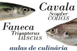 Aulas de culinária na Azenha do Mar - Aprender a cozinhar Cavala e Faneca