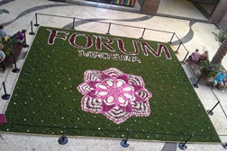 A tradicional festa da flor chegou ao forum Madeira