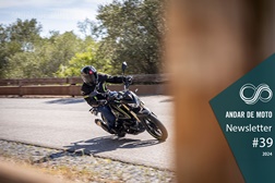 Newsletter nº 39/2024 - 10 de Outubro de 2024
