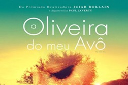 A Oliveira do Meu Avô