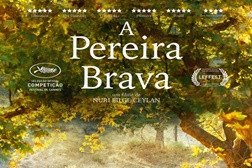 A Pereira Brava
