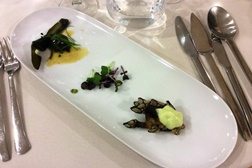 Projecto Endògenos: Carapau Seco na Nazaré sucede às algas de Peniche