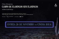 Campo de Flamingos sem Flamingos