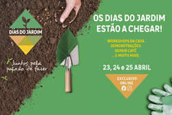 Leroy Merlin promove Dias do Jardim com workshops e demonstrações online