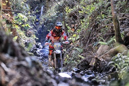 Diogo Ventura