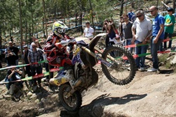 Luís Oliveira