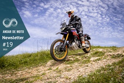 Newsletter nº 19/2025 - 15 de Maio de 2025