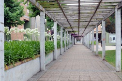 Famalicão lança campanha "A Dignidade tem um Rosto"