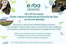 Forum Montijo recebe "O Lado Selvagem do Tejo" em exposição única
