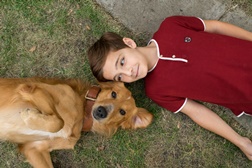 Canal Hollywood estreia dupla "O melhor amigo do Homem"