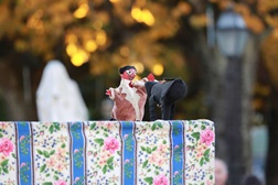 IV edição da Maluga – Festa da Marioneta Luso-Galaica em Caminha
