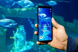 SEA LIFE Porto com a primeira App de identificação de espécies marinhas  - Realidade aumentada e IA  em estreia no aquário