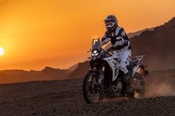 Voge DS800 Rally chega este ano a Portugal e já se conhece o preço!