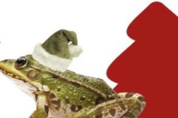 Tapada Nacional de Mafra com Natal Mágico