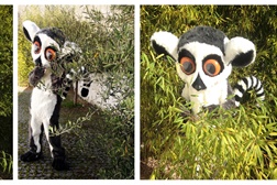 Monte Selvagem tem nova mascote