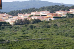 Nuno Cardoso