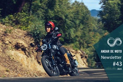 Newsletter nº 43/2025 - 30 de Outubro de 2025