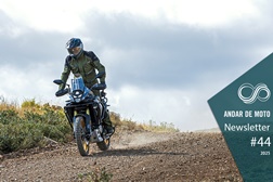 Newsletter nº 44/2025 - 04 de Novembro de 2025