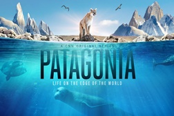 Odisseia estreia "Patagónia, vida nos confins do mundo"