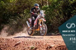 Newsletter nº 18/2024 - 07 de Maio de 2024