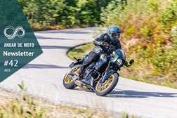 Newsletter nº 42/2025 - 22 de Outubro de 2025