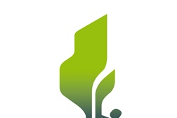 15.000 Árvores suplementares para os depósitos de carbono florestal PEUGEOT-ONF na Amazónia