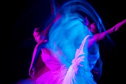 INSHADOW 2025: Últimos dias de Festival