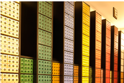 Nespresso abre Boutique no Algarve - Marca chega a Faro em pleno período de férias